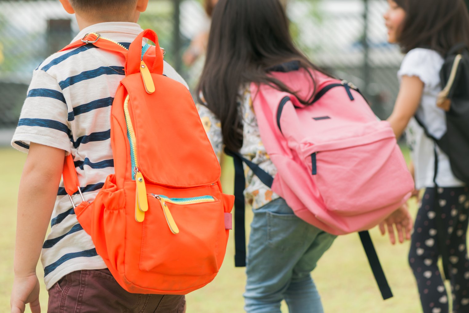 The Right Weight for Kids' Backpacks: Ensuring Happy Backs and Healthy ...